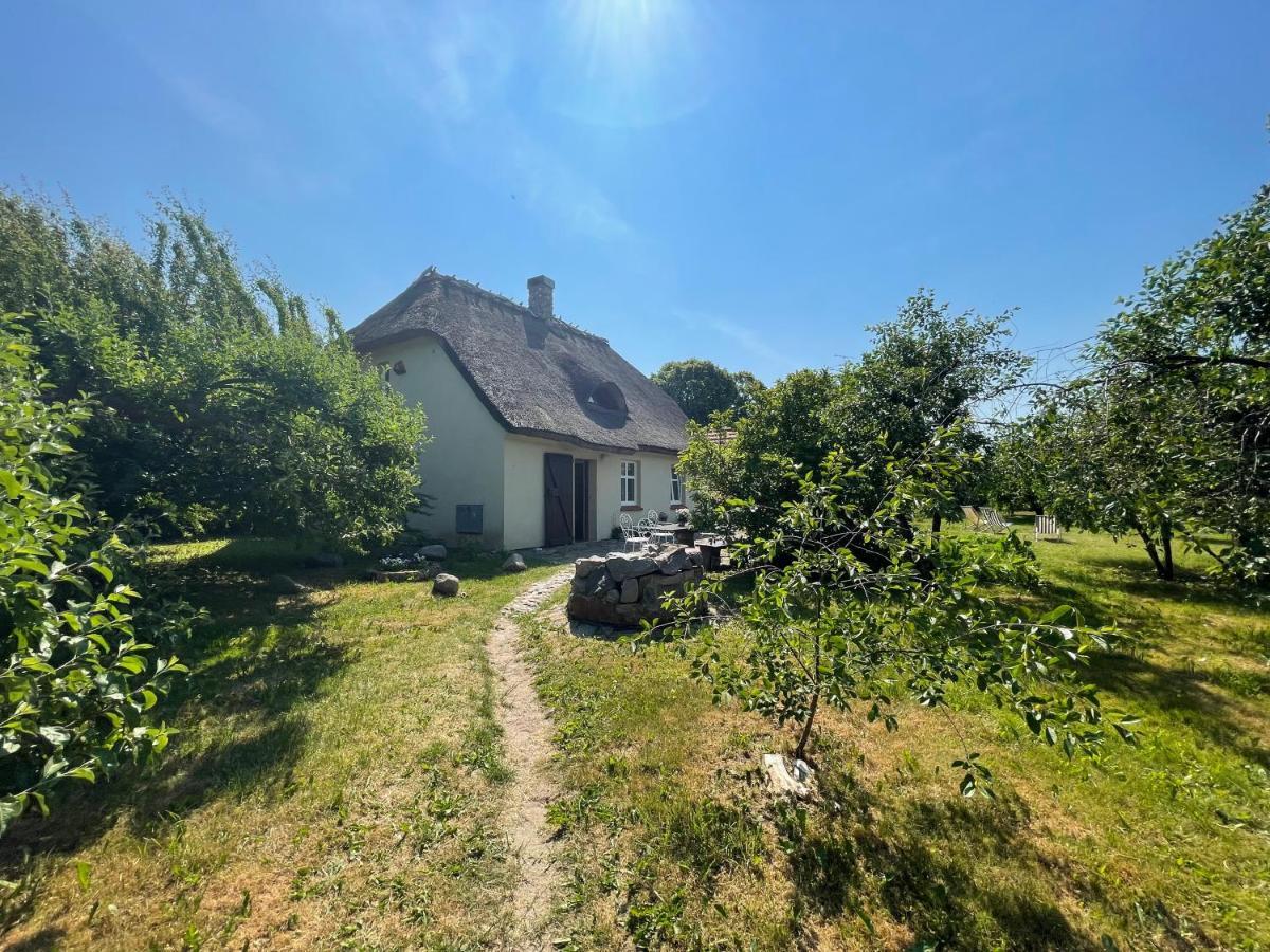 Oaza Pod Strzecha Klimatyczny Dom Z 3 Sypialniami Na Wylacznosc Z Kominkiem I Duzym Ogrodem Ustronie Morskie Exterior photo